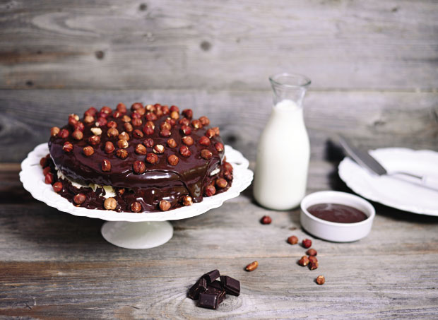 Чоколадни залогаји са лешником, кокосом и медом: Једноставни рецепти за сочне и укусне посластице 